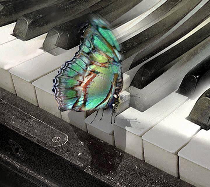 DavLucia's tweet photo. #stopensandoche preferisco perdermi sulle note della musica che tra le parole delle persone https://t.co/koPsOX5xhK