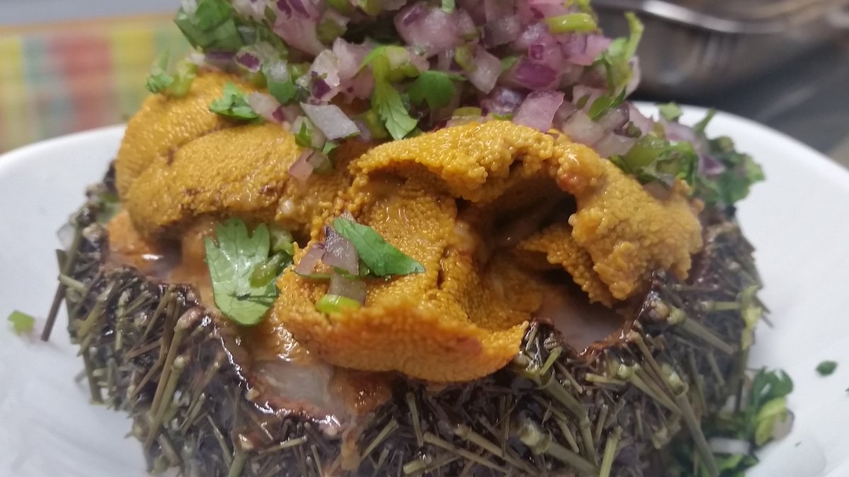 <a href="/AquaPacificoCL/">AquaPacífico</a> <a href="/FaculMarUCN/">Facultad Cs. del Mar</a> <a href="/fundacionchile/">Fundación Chile</a> <a href="/CocinamarChile/">Fundación CocinAmar</a> <a href="/UCV_Noticias/">UCV Noticias</a> <a href="/OceanoPUCV/">Oceanografía PUCV</a> <a href="/AxelKlimpel/">Axel Klimpel</a> <a href="/Mariovelizj/">Mario Veliz Jorquera</a> <a href="/Sernatur/">Sernatur</a> <a href="/mercuriovalpo/">El Mercurio de Valparaíso</a> Amigos ..agreguen a sus datos...muy pronto en #Valparaiso <a href="/trespecescl/">TresPeces Valparaíso</a>  restaurante de #pescaresponsable en #Cerroconcepción con esta vista