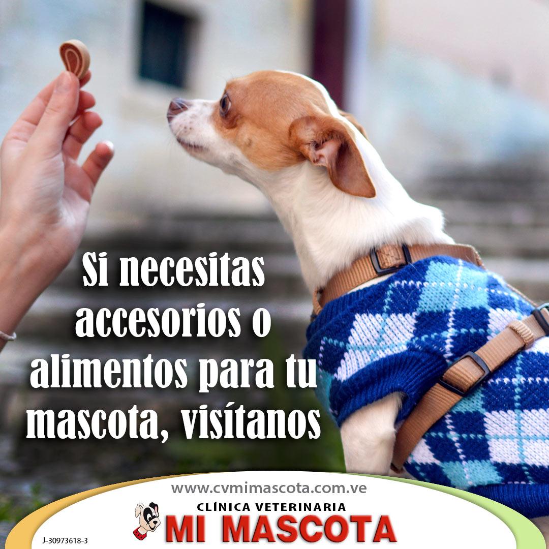 cvmimascotaco's tweet photo. Tenemos descuentos en nuestra linea de ropa para su mascota https://t.co/pwqIb4xiwC