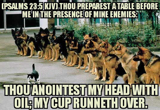 518_pr's tweet photo. "GOD WATCHES AND TAKES CARE OF HIS OWN GOD WATCHES AND TAKES CARE OF HIS OWN"

(Psalms 23:5 KJV) Thou preparest a table before me in the presence of mine enemies: thou anointest my head with oil; my cup runneth over. https://t.co/9f6vzfIZar