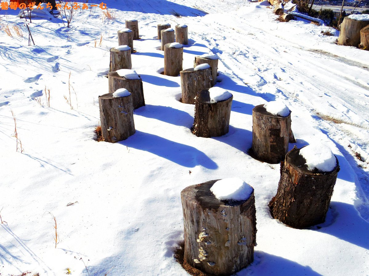 岐阜県ブルーベリー狩り観光農園 ぜんちゃんふぁーむ Auf Twitter 岐阜県恵那市岩村町 ぜんちゃんふぁーむです 遺跡 出現 笑 岐阜県 恵那市 岩村町 Photographer Japan Gifu Ena Trip Travel 移住 写真好きな人と繋がりたい 写真撮っている人と