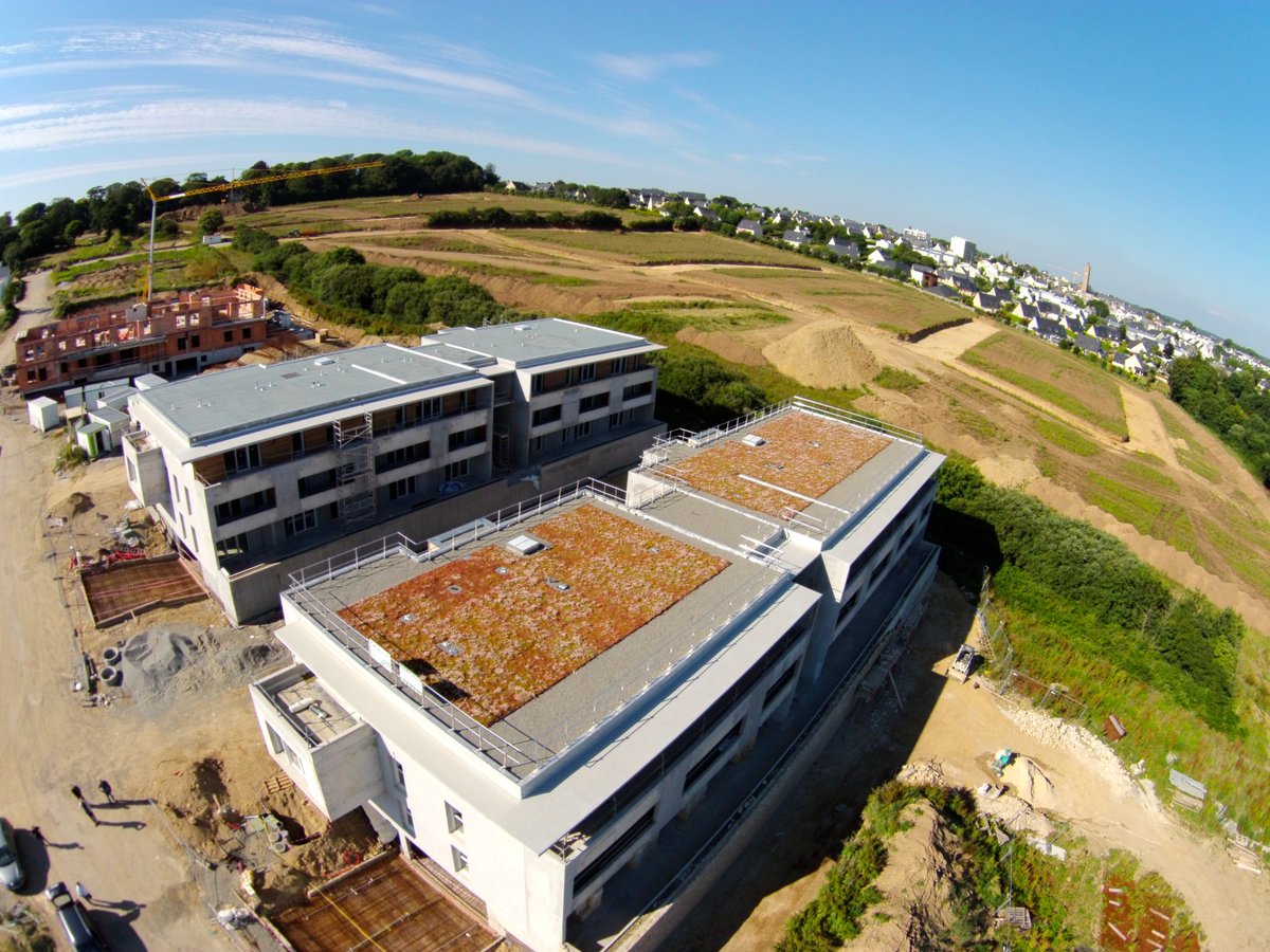 Sempergreen's tweet photo. Spot the difference! Which kind of roof do you prefer? #greenroof #Bretagne #toitsvégétaux #SempergreenFrance #greenbuilding #landscape #drone #Sedumroof https://t.co/Gv30Zaq9Iz