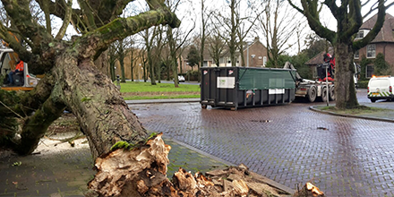 Allgroen bv werd opgeroepen om een omgewaaide #kastanjeboom te verwijderen. De boom was omgevallen op de #Parklaan in #Dordrecht. De boom nam niet alleen een groot deel van het voetpad in beslag, maar veroorzaakte ook overlast in een particuliere tuin: bit.ly/2DTX9FL