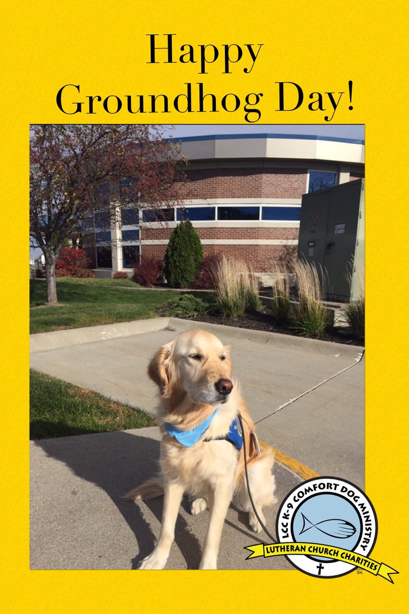 katiecomfortdog's tweet photo. On February 2nd, the Groundhog comes out of his burrow to look for his shadow.  If there is sunshine &amp; he sees his shadow, then he goes back to sleep there will be more winter, if he doesn’t see his shadow, Spring will begin. What’s it going to be Mr. Groundhog? 
#k9comfortdog https://t.co/D8difErYim