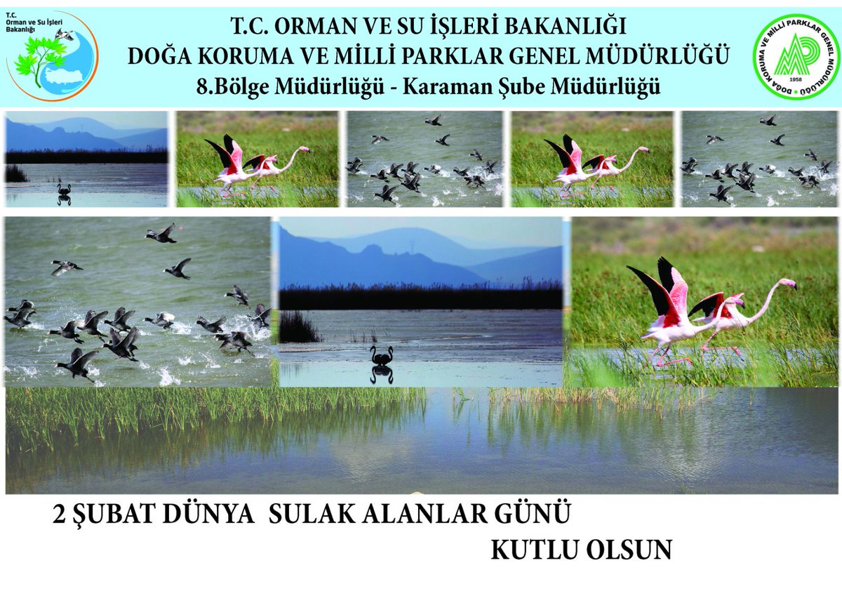 karamandkmp's tweet photo. Ülkemizi seviyoruz, sulak alanlarımızı koruyoruz.
#SulakAlanlarGünü https://t.co/Vdz3AhjKc1