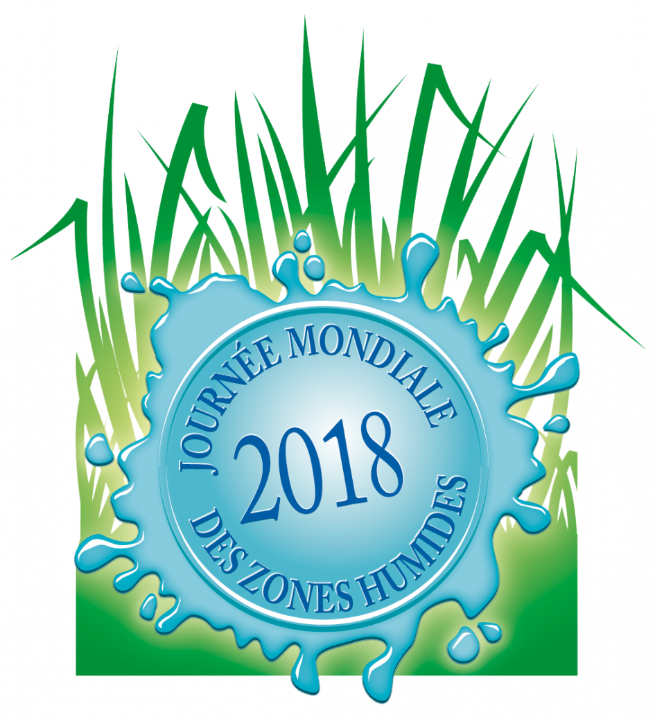 C’est la Journée mondiale des #zoneshumides 2018 ! À cette occasion, découvrez ces milieux et participez aux animations organisées dans le cadre de la #JMZH partout en France ! bit.ly/2E844u1 <a href="/ZonesHumides/">Centre de ressources milieux humides</a>