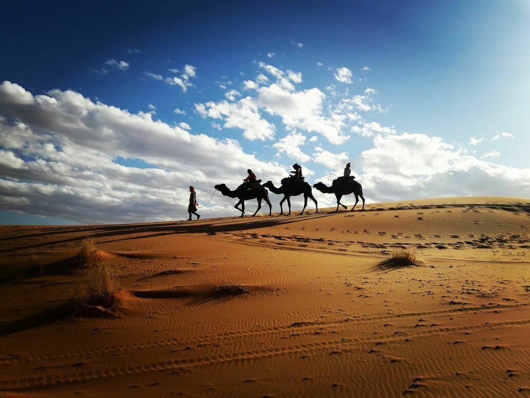 MarruecosTotal's tweet photo. Una noche inolvidable en el desierto, bajo de un cielo totalmente estrellado!
Bienvenidos a todos!!
#marruecos #marruecostotal #viajes #tours #desierto #Marrakech #excursiones #travael #vip #sahara #CasaBlanca #FEZ #Turismo #tanger https://t.co/gXbtFUCdiV