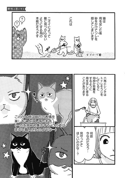 コミックエッセイ劇場 Comicessay 18年02月 Page 3 Twilog コミックエッセイ劇場 Comicessay 18年02月 Page 3 Twilog