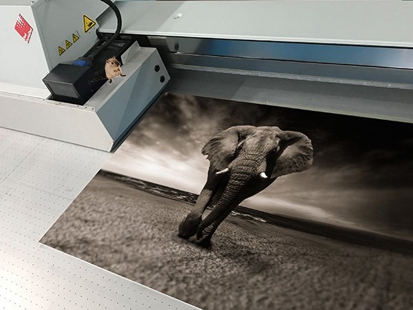 Eyes On PhotoArt (@eyesonphotoart) on Twitter photo Vonden jullie de tentoonstelling van #woldpressphoto in de #Nieuwe kerk in #Amsterdam ook zo mooi? Wil jij ook zulke prints? Nu tijdelijk 20% korting op Forex prints!
Mail je #foto naar: printing@eysonmedia.nl Vonden jullie de tentoonstelling van #woldpressphoto in de #Nieuwe kerk in #Amsterdam ook zo mooi? Wil jij ook zulke prints? Nu tijdelijk 20% korting op Forex prints!
Mail je #foto naar: printing@eysonmedia.nl