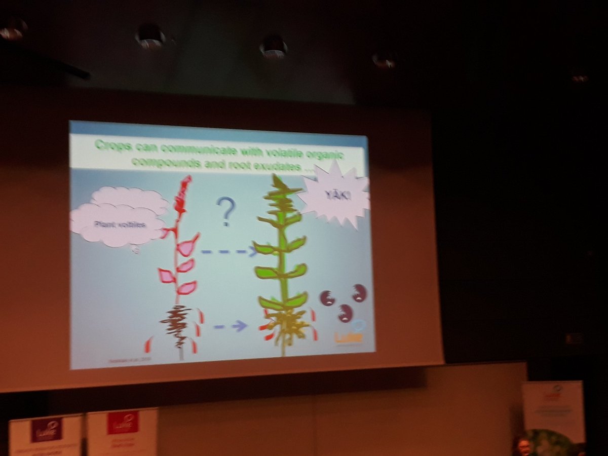 KohlJohanna1's tweet image. #LukeLEADS today @LukeFinland @MarjoKeskitalo : the crop comminication system!