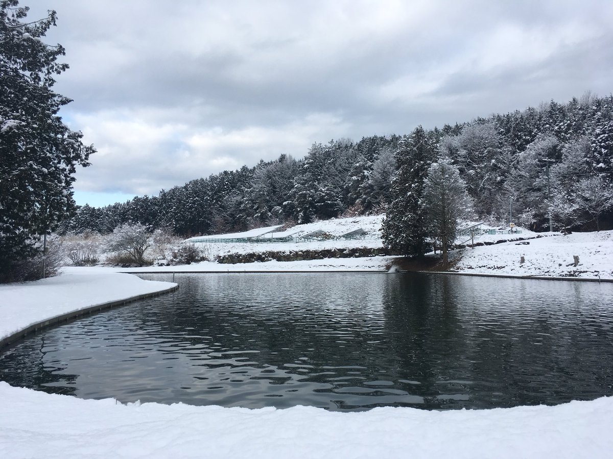 香坂きの プラモボランティアお姉さん 岐阜県にある この管理釣り場で釣りはじめました まさかの雪景色にびっくりしつつ 果たして あの は釣れたのでしょうか 釣りビジョンさんで2月18日21時放送です みてねー 釣り 釣りビジョン 釣りはじめ 香坂きの プラモボランティアお姉さん 岐阜県にある この管理釣り場で釣りはじめました まさかの雪景色にびっくりしつつ 果たして あの は釣れたのでしょうか 釣りビジョンさんで2月18日21時放送です みてねー 釣り 釣りビジョン 釣りはじめ