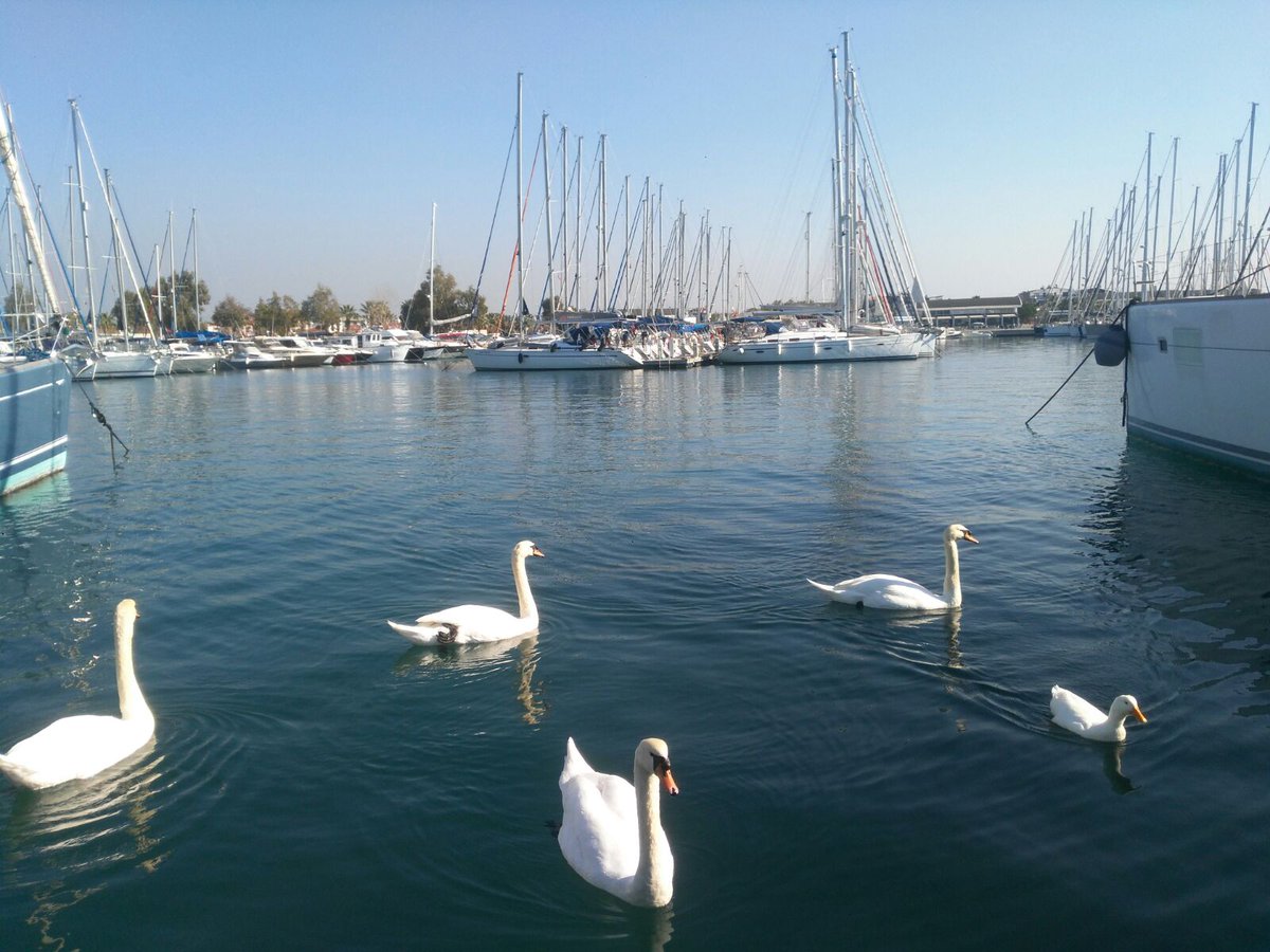 TEOS MARİNA BAHARA GÖZ KIRPIYOR
İstanbul, Ankara ve Türkiye’nin diğer illerinde kış en soğuk yüzünü gösterip herkesi üşütürken, Güzel İzmir’in doğal limanı Teos Marina’da güneş açtığı anda bahar yaşanıyor. Marinanın küçük misafirleri temiz denizin ve güneşin tadını çıkarıyor.