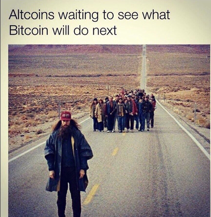 pjoemade's tweet photo. #Altcoins Waiting To See What #Bitcoin Will Do Next 😂😂😂 https://t.co/khO55g2MI5