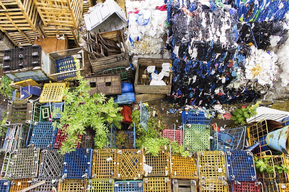 Do you know the different types of plastic used to make plastic bags? #plasticbags #typesofplastic
buff.ly/2EnECyu