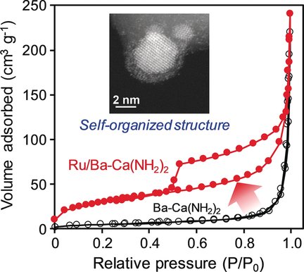 angew_chem's tweet image. #Ruthenium #barium #CoreShell #nanoparticles on #mesoporous #calcium #amide for low temperature #AmmoniaSynthesis doi.wiley.com/10.1002/anie.2…