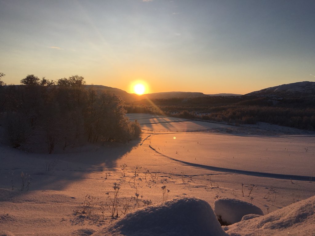 Nomadic_Inday's tweet photo. Here in the #North from  #November to mid #January the #sun doesn’t set on the #horizon so when it comes back we celebrate it and we take every bit of opportunity to catch it. #arctic #northnorway #winter #nomadic_inday #life https://t.co/dxPZRfaR6v