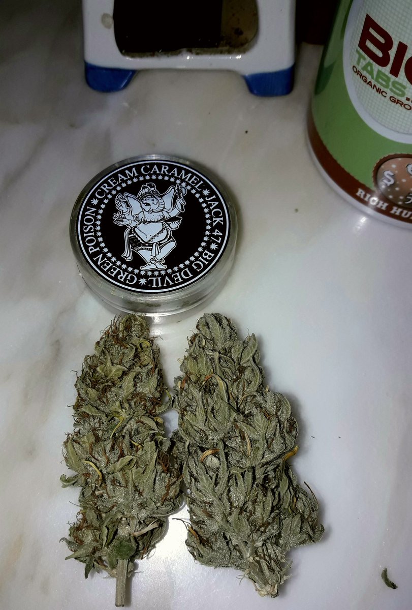 Apez140's tweet photo. Weed Día @GreenbudSeeds y Mejor Fin de #EquipoGrande.
#Blueberry99 y yo Os Deseamos Sea todo Alegría, Olas, Paz, Semis, #LosMejoresHumos de #ChocoCandy2.
Y por supuesto,
Boong de, A Vuestra Salud;-))) https://t.co/GvudUDP2oD