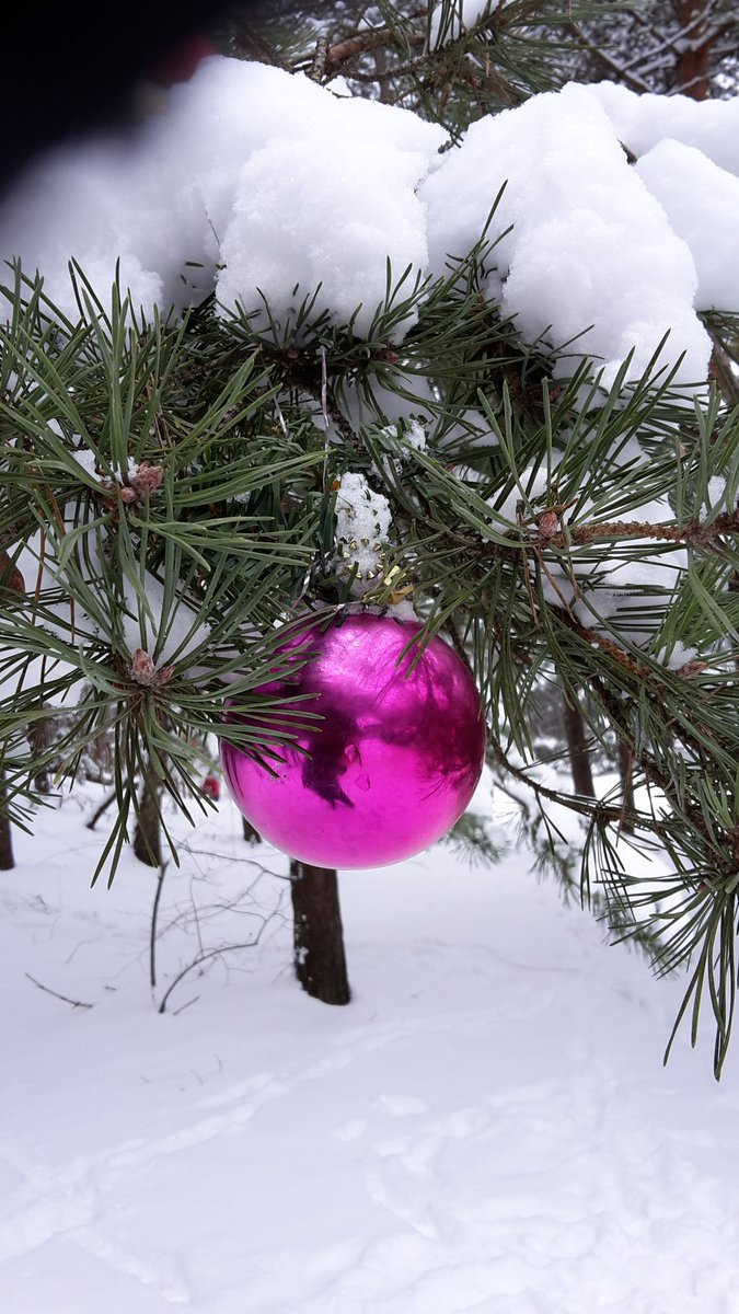 #Myphotography  
Dear friends, I'm sure it is not cold in winter, if your heart radiates love to the world:) #greetings from #Lithuania