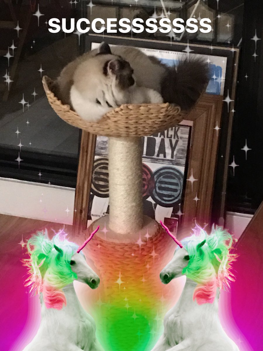 erinalicexx's tweet photo. I have no idea how the unicorns got into this pic but I like what they are about https://t.co/JaMPcW0PWT