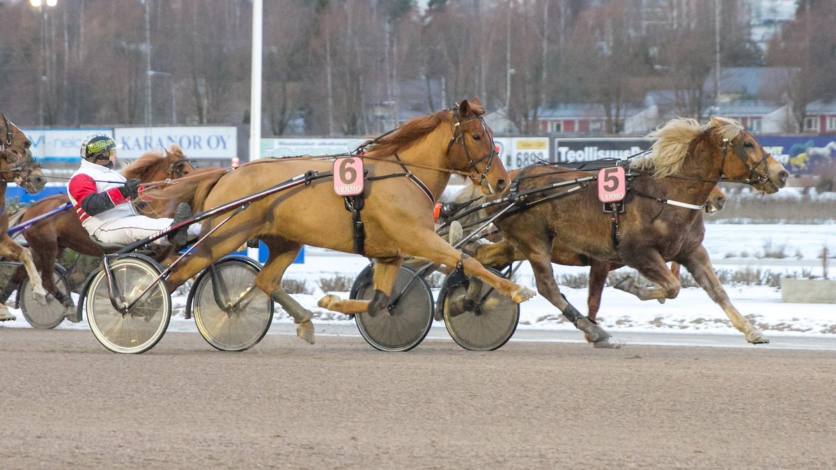 Ravilähetykset jatkossakin vahvasti C Morella: C Moren ravilähetykset uudistuivat täksi vuodeksi ja lähetystunnit kasvoivat. dlvr.it/QDgvXz #ravit