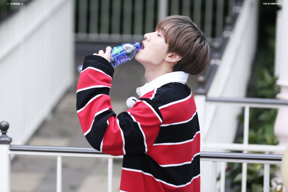 180201 Disneyland #EunHyuk #SUPERJUNIOR  #은혁 #이혁재