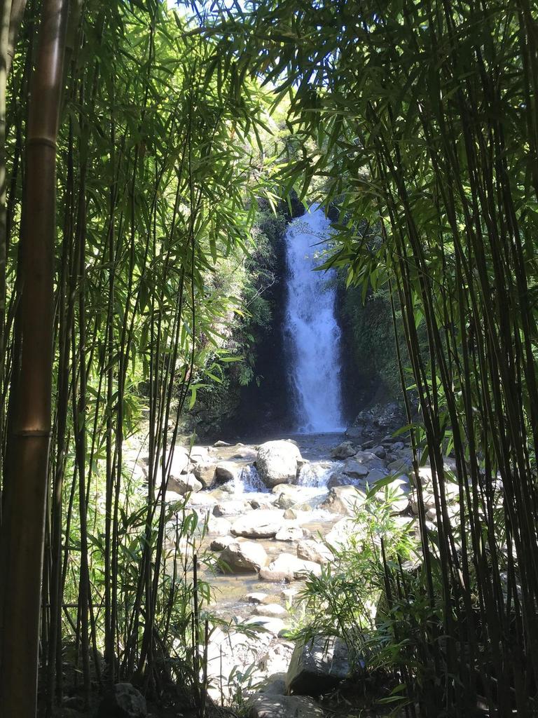 Waterfall in a bamboo forest, Maui [OC] (3024x4032) - TheWike #photography #travel #nature by #ljsilver71