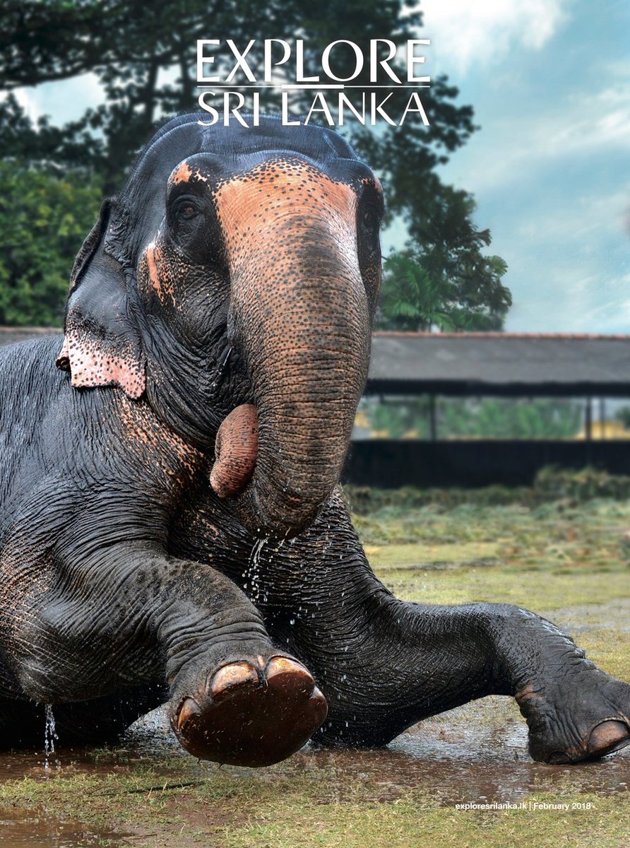 exploresl's tweet photo. February 2018 Issue
https://t.co/ssHldLcqtj
#ExploreSriLanka #ESL #February2018 #SriLanka #Explore #Travel https://t.co/cHhjewDrKD