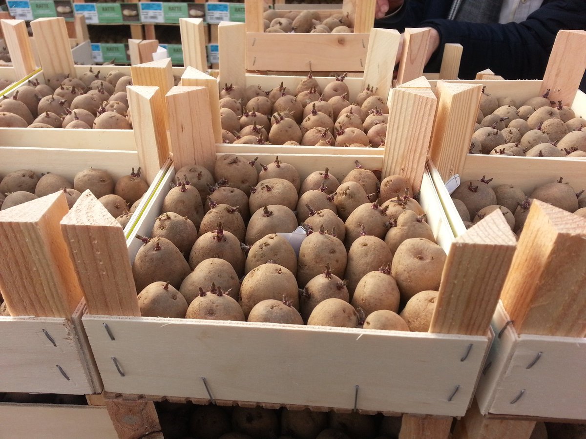 semaeNord's tweet photo. La visite ce jour d'un reconditionneur de clayettes de #plants de #pommedeterre dans la #Drôme réunie les @GnisNord @GnisOuest @GnisCentre @GnisSudEst @GnisEst @GnisSudOuest. Un grand merci pour cette présentation et cette visite #interprofessionel #semences. https://t.co/DIOCvfaJR8