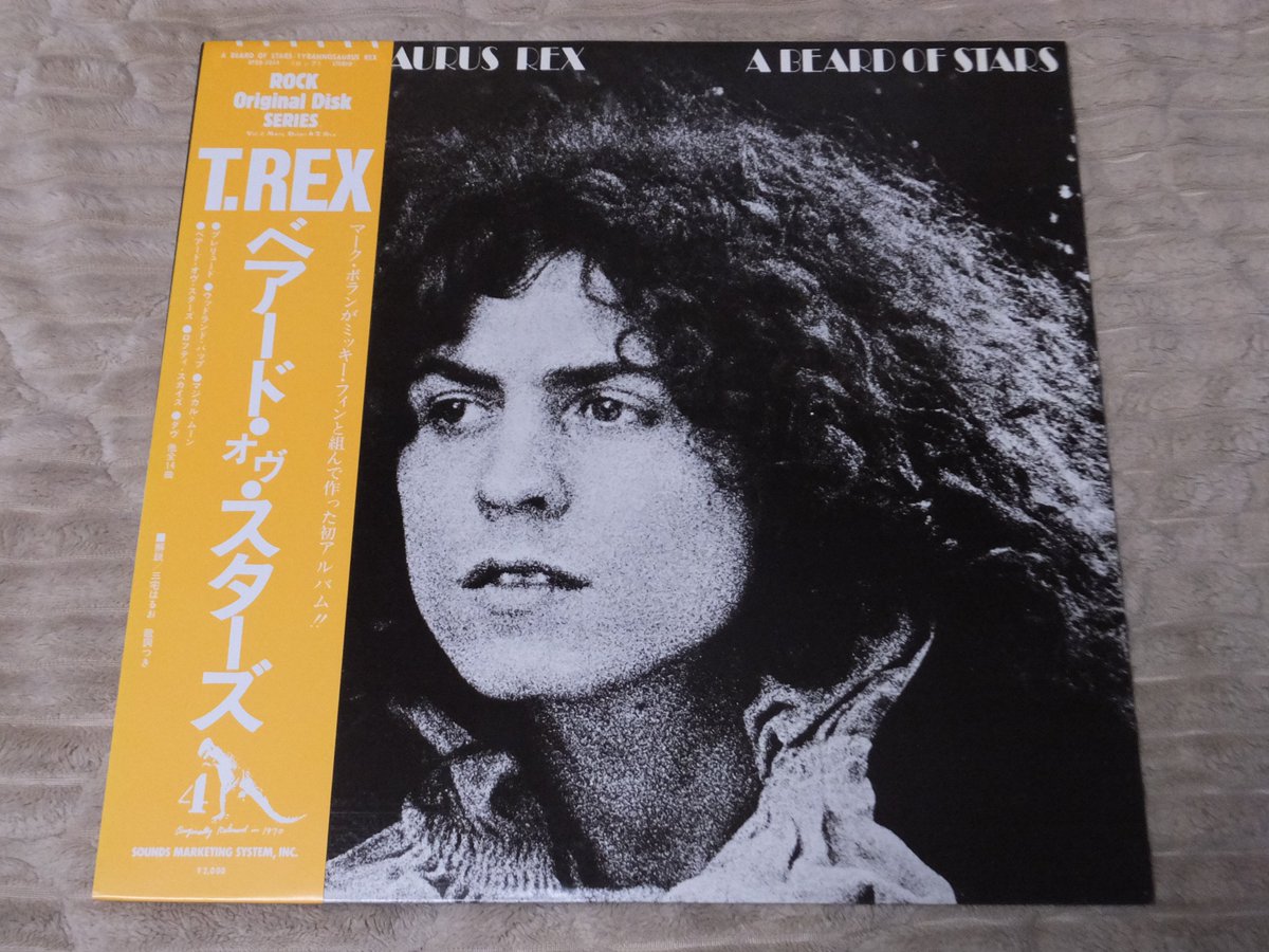 Tyrannosaurus Rex Tyrannosaurus Rex