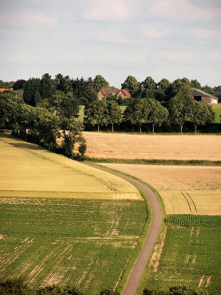 fieggentrio's tweet photo. Colmont (Limburg) https://t.co/fv9PsnBshA
Colmont is een buurtschap van #Ubachsberg in de gemeente #Voerendaal, in de Nederlandse provincie Limburg.
De naam gaat terug naar het Latijnse: calvum montem wat kale berg betekent. ...
#Colmont #Limburg #Travel #tourism #Nederland https://t.co/DDrVaQxMyg