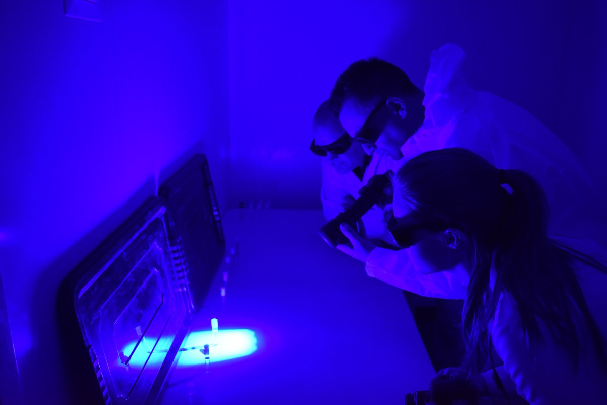 JohnCassella2's tweet photo. Real world research conducted by one of our forensics students @StaffsCJF_Dept researching into the detection of missing persons in water. Fluorescence from body chemicals shown by use of 'Tech-Long' lasers and DB-LEDS  #ProudToBeStaffs is yielding ground breaking info,@StaffsUni https://t.co/zgQohEPXi4