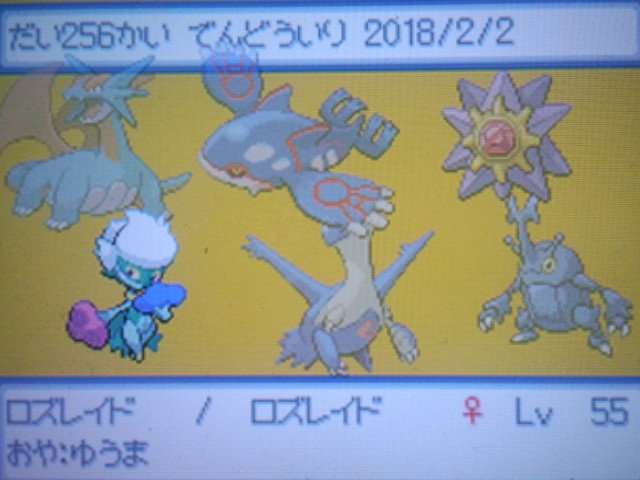 Dゆうまd V Tvittere ポケモンプラチナやってます 今まで256回も殿堂入りしました ポケモン ポケモンプラチナ ポケモン好きさんと繋がりたい