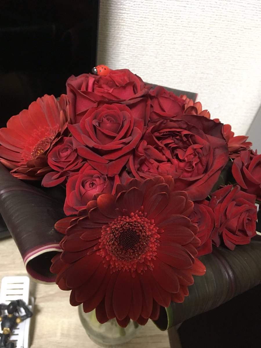 これで安心 こいつ童貞だな と思われずに花屋で花を買える方法 Togetter これで安心 こいつ童貞だな と思われずに花屋で花を買える方法 Togetter