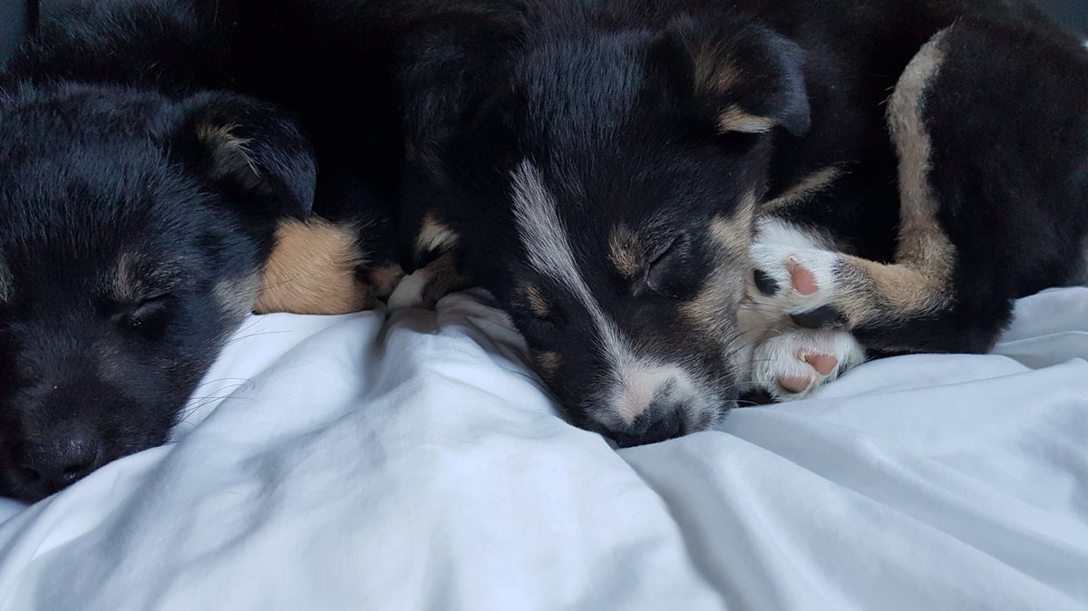 they slept through their first jabs????? ?