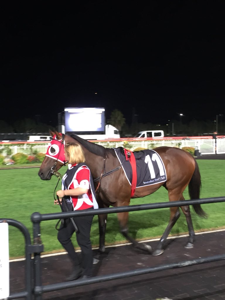 DMASydney's tweet photo. Looking forward to cheering on #parlayvous tonight #canterbury @ChampionTbreds @dalebrown71 @Blueman211 https://t.co/GfdFhZftng
