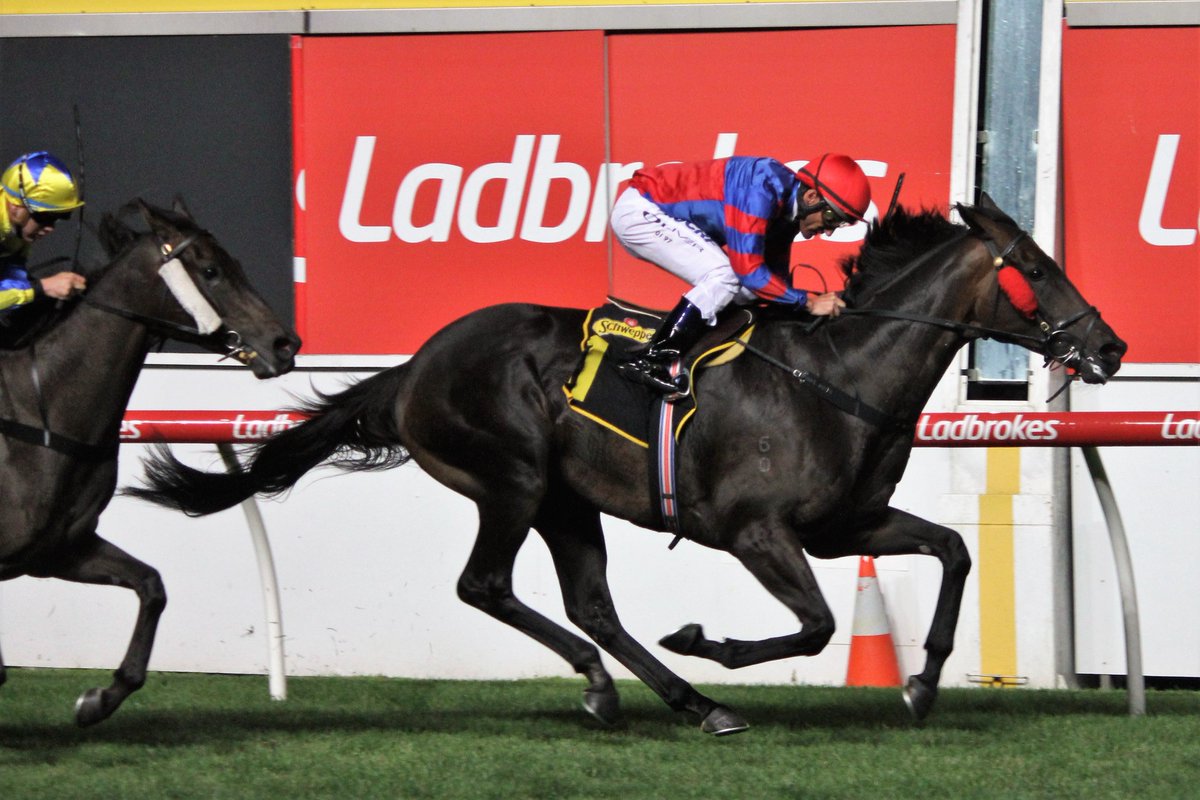 Moonee Valley Racing Club tweet media