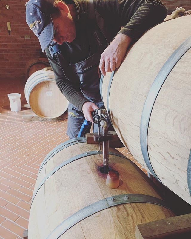 DeniQuadrumolo's tweet photo. Great job. Fill up with #wine 
#winelover #winejob #winetasting #instawine #langhe #unesco #barbera #simon https://t.co/utEjC3khPm https://t.co/zK8ThL8TWg