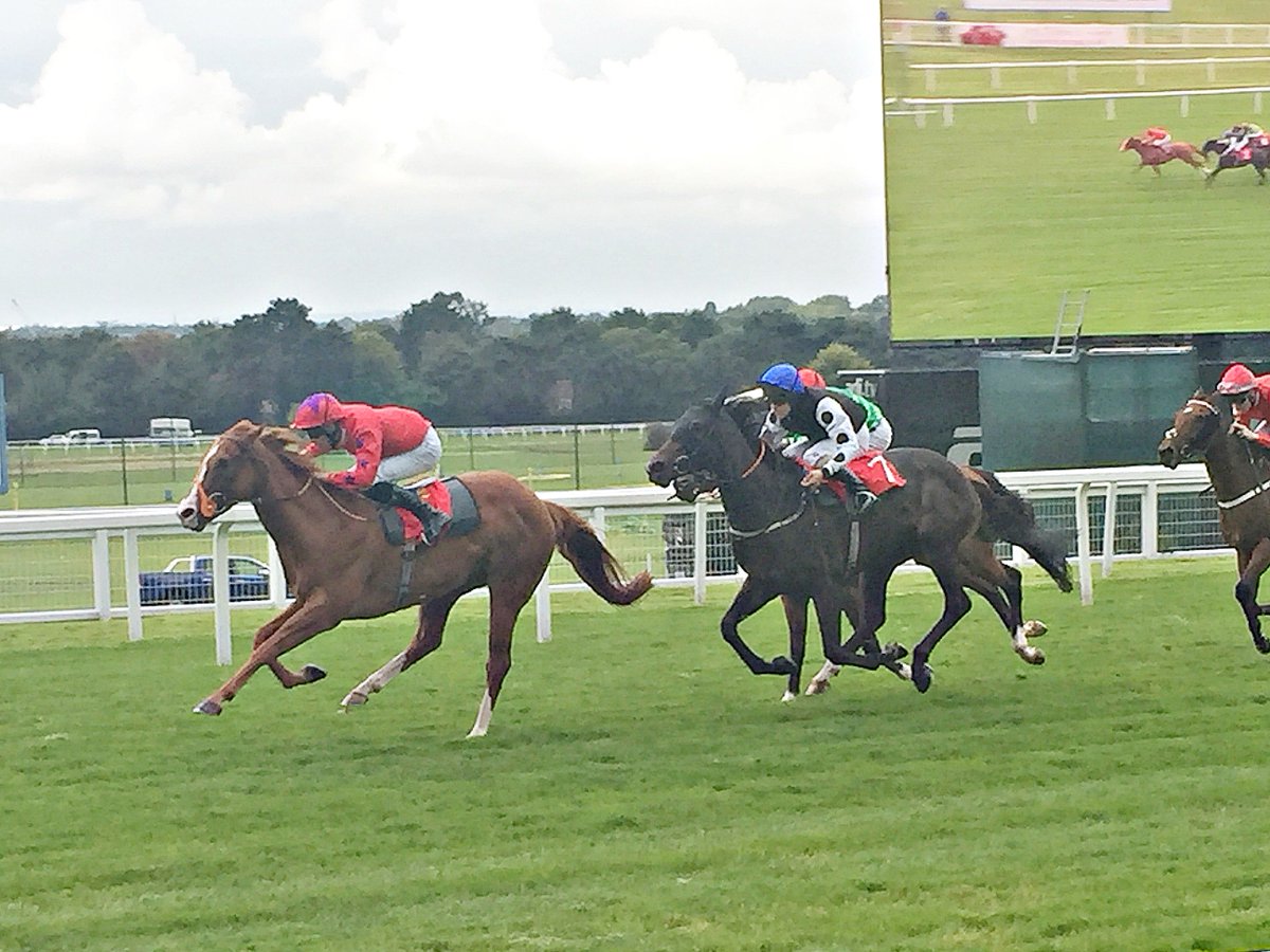 biddestonestud's tweet photo. Exciting news that @brianmeehanltd has entered Fastar into the @betway Lincoln Heritage Handicap @DoncasterRaces on 24 March. https://t.co/pja4b2faip