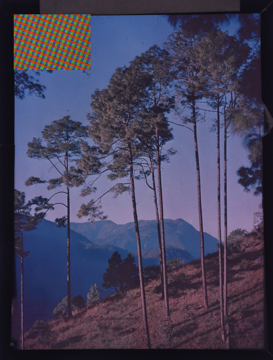 NLSColl_Care's tweet photo. Finding out about colour processes in our #photographiccollections @natlibscot. Here are some of the #earlycolourphotographs discovered earlier this week; scenery with trees(Dufay Color film) and plant detail(Autochrome plate). Exciting to look at them through the microscope! https://t.co/0I07NXySkh