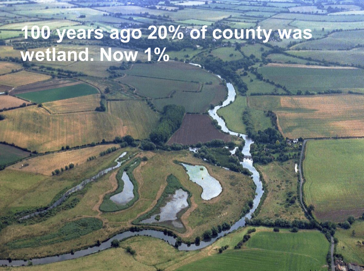 On  #WorldWetlandsDay reflect on #worcestershire situation.

Big implications for flood risk, biodiversity and recreation. #25YEP