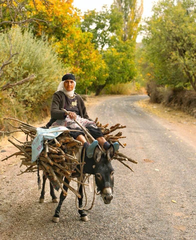Şu fotoğrafın güzelliğine bir bakar mısınız o kadar güzel ki o kadar doğal ki👍✌️