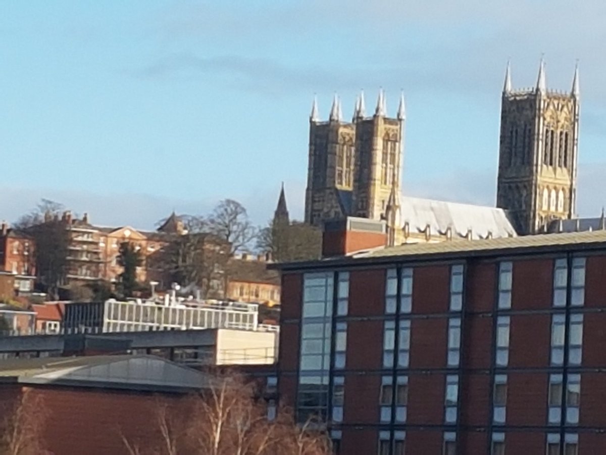 diane lees tweet media