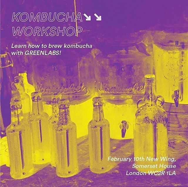 GreenLabOrg's tweet photo. We’re running a kombucha workshop @makerversity as part of their #materialexplorations programme on Saturday 10th Feb. Book your tickets via their website to learn how to ferment and brew this magical tea #kombucha #fermentation #healthygut #goodbacteria https://t.co/RjiWtYOJQE https://t.co/fbVh0QwKib