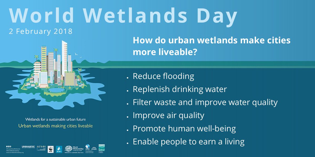 ICLEI's tweet photo. Happy #WorldWetlandsDay everyone! Why not take a second to read up on how #wetlands make our cities more liveable? https://t.co/267FmQShOt @RamsarConv @ICLEICBC https://t.co/iiPRTwIe5y