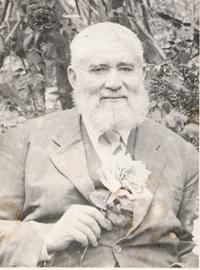 野田露簟 tweet media