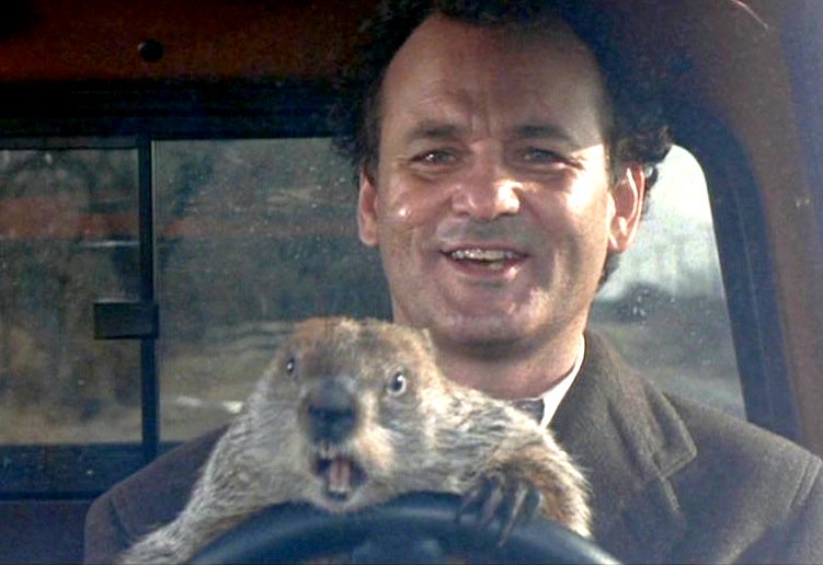 FibaFuse's tweet photo. Wake up woodchuck chuckers... It's Groundhog Day! https://t.co/6T5JRq8fAL