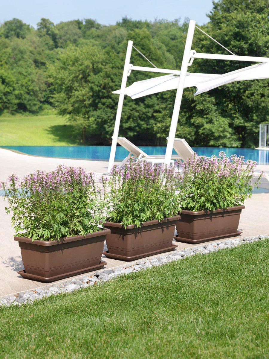 vecamericausa's tweet photo. #planter #fashion #beautiful #art #miamiflowers #miamiflorals #luxury #happy #nature #miamiorchids #outdoors #patio #backyard #patiodecor #garden #nursery https://t.co/80c9mEu0ZW