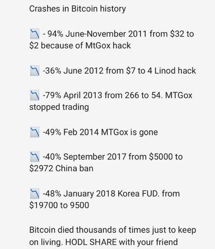 bitstatsio's tweet photo. Crashes in #Bitcoin history
$btc $crypto https://t.co/lwazSzI8nD