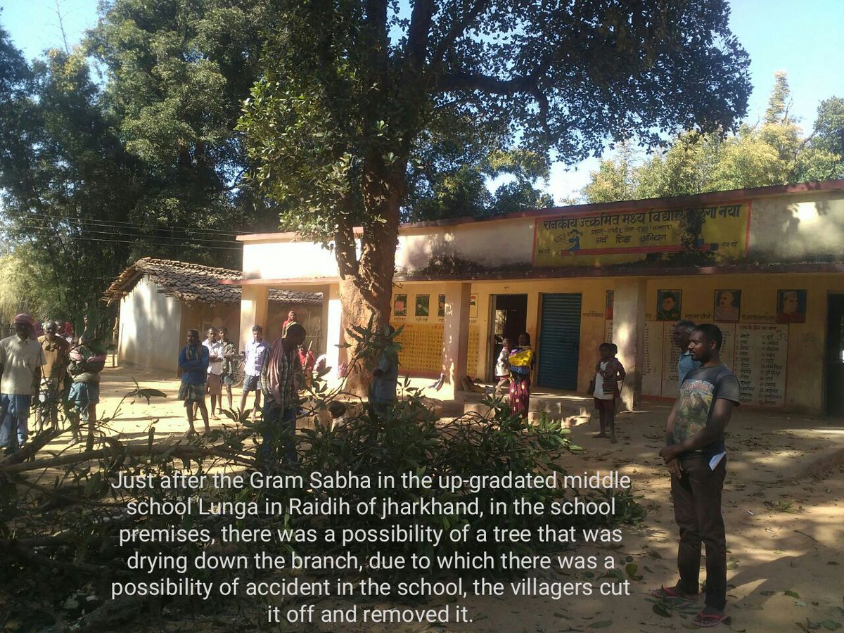 TRIFoundation's tweet photo. After the #GramSabha held in Lunga School of #Raidih Block in #Gumla District #Jharkhand, Villagers decided to cut &amp; remove 1 tree from the school premises as there was a possibility of drying down of the branch, due to which there was a possibility of an accident. https://t.co/RGSHk7f9RA