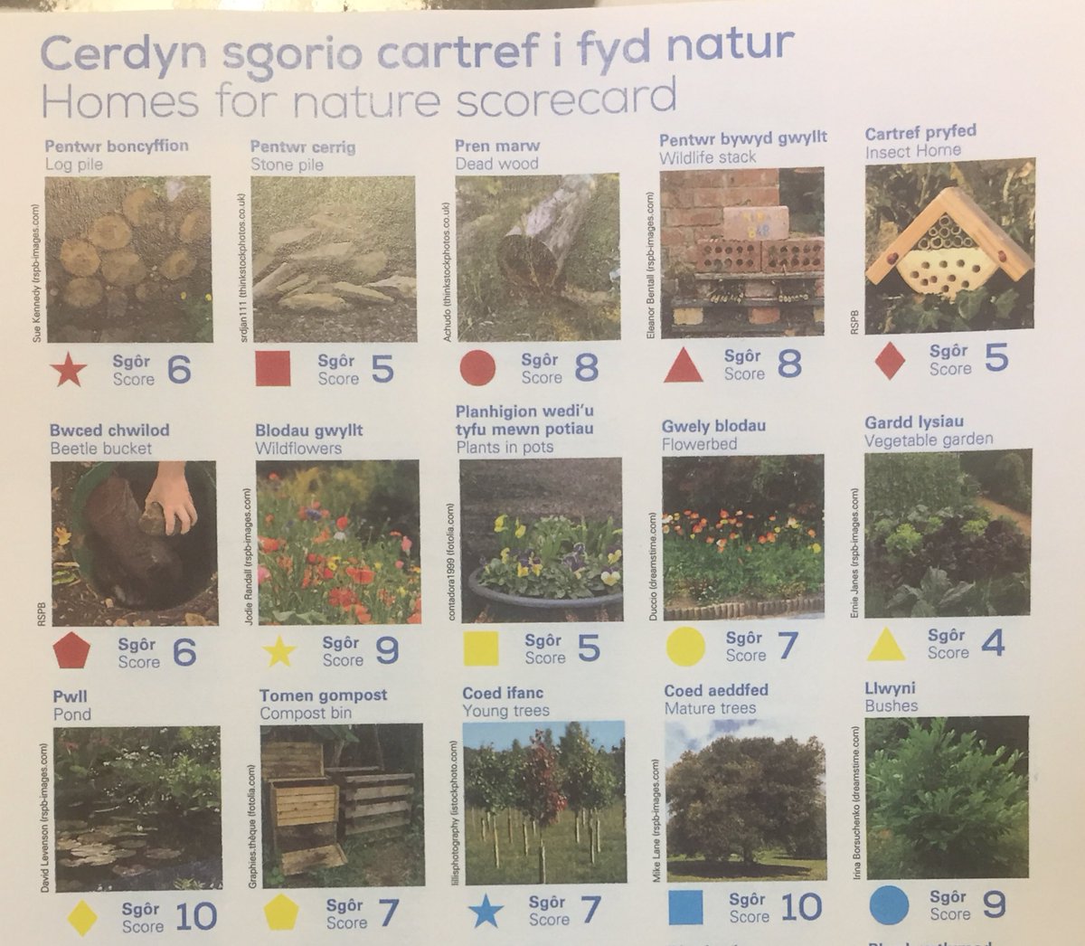 MrsMatthews17's tweet photo. #crosscurricular outdoor learning with links to the LNF - but most importantly, discussing the #value of outdoor learning in a session with Jon Gruffydd from @RSPBCymru @Natures_Voice #outdoorlearning https://t.co/4dnbgSptCj